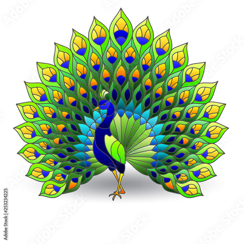 Stained glass element with peacock bird,  color images isolated on white background