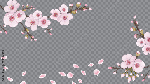 Pink on transparent background. Design element for fabric, invitations, packaging, cards. Handmade background in the Japanese style. Spring frame horizontal of sakura flowers.