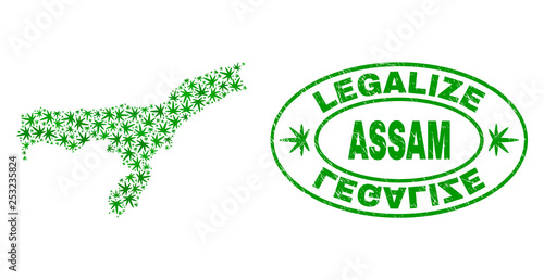 Vector cannabis Assam State map collage and grunge textured Legalize stamp seal. Concept with green weed leaves. Concept for cannabis legalize campaign.