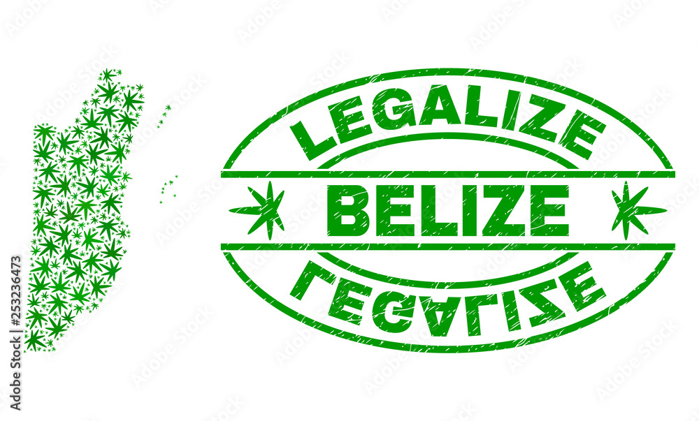 Vector cannabis Belize map collage and grunge textured Legalize stamp seal. Concept with green weed leaves. Concept for cannabis legalize campaign. Vector Belize map is formed with cannabis leaves.