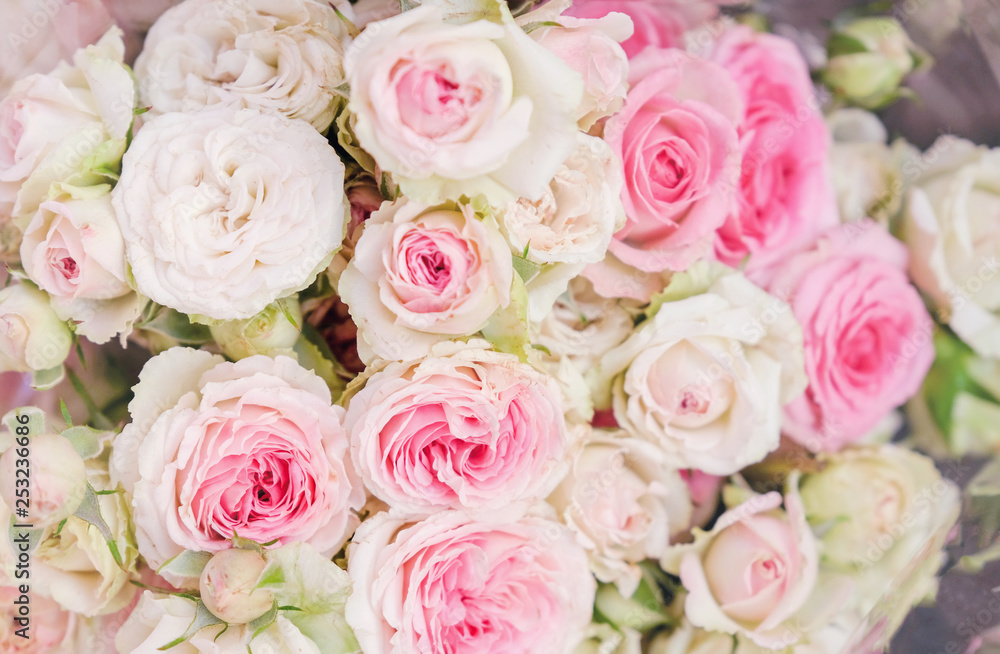 roses bouquet close up roses bouquet close up