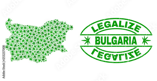 Vector cannabis Bulgaria map mosaic and grunge textured Legalize stamp seal. Concept with green weed leaves. Concept for cannabis legalize campaign. Vector Bulgaria map is formed with cannabis leaves.