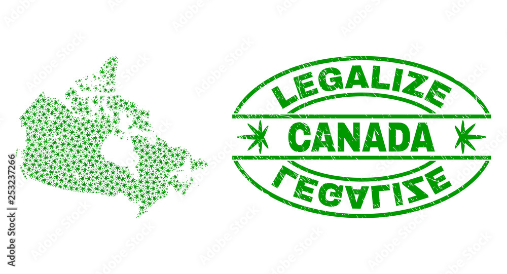 Vector cannabis Canada map collage and grunge textured Legalize stamp seal. Concept with green weed leaves. Concept for cannabis legalize campaign. Vector Canada map is organized with herbal leaves.