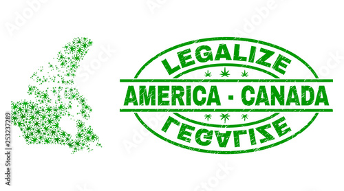 Vector cannabis Canada v2 map mosaic and grunge textured Legalize stamp seal. Concept with green weed leaves. Template for cannabis legalize campaign. Vector Canada v2 map is created with weed leaves.