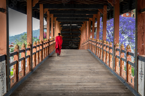 The beauty of Punakha Dzong is incomplete without its monks, drapped in red robe. photo