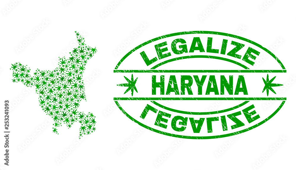 Vector marijuana Haryana State map mosaic and grunge textured Legalize stamp seal. Concept with green weed leaves. Concept for cannabis legalize campaign.