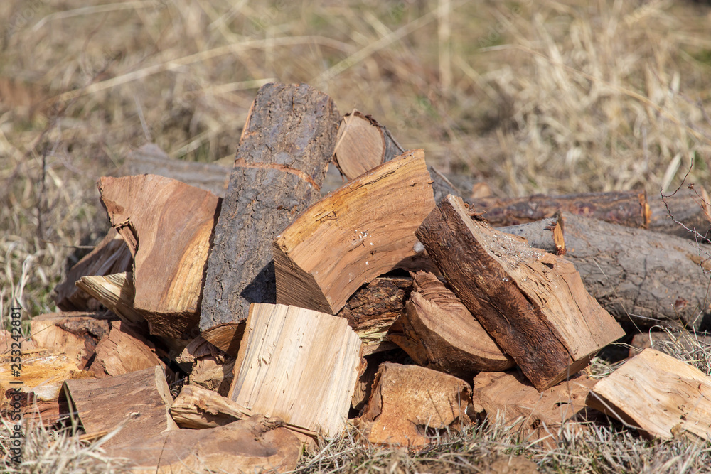 Firewood for a fire in nature Firewood for a fire in nature