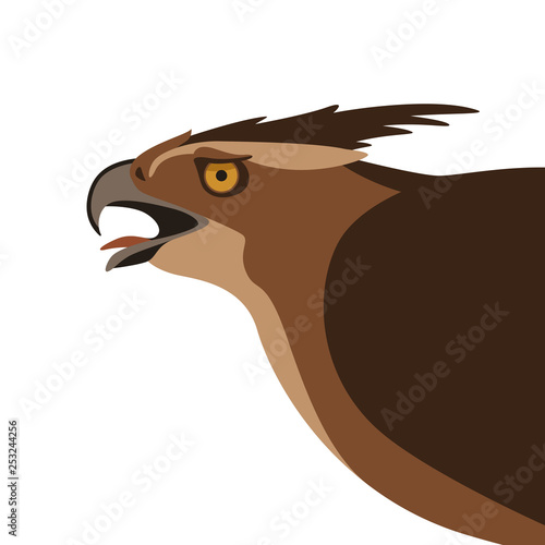 eagle head,vector illustration , flat style