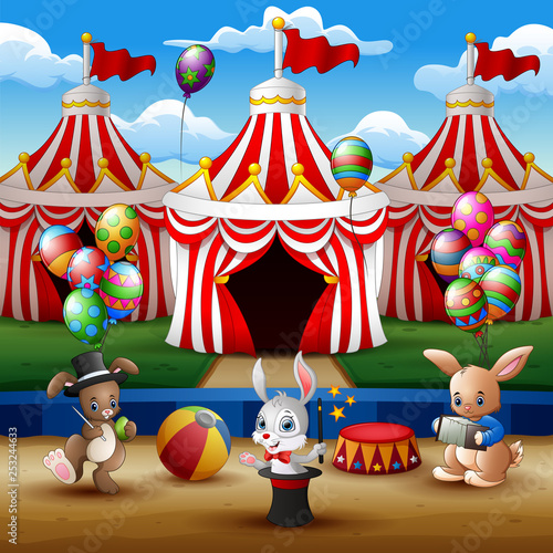 Circus animal show and acrobat performance at the arena