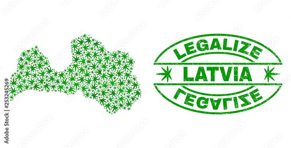 Vector cannabis Latvia map mosaic and grunge textured Legalize stamp seal. Concept with green weed leaves. Concept for cannabis legalize campaign. Vector Latvia map is composed with cannabis leaves.