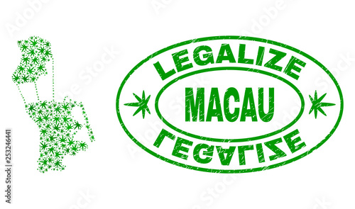 Vector cannabis Macau map collage and grunge textured Legalize stamp seal. Concept with green weed leaves. Concept for cannabis legalize campaign. Vector Macau map is composed with cannabis leaves.