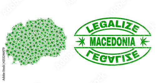 Vector marijuana Macedonia map collage and grunge textured Legalize stamp seal. Concept with green weed leaves. Concept for cannabis legalize campaign.