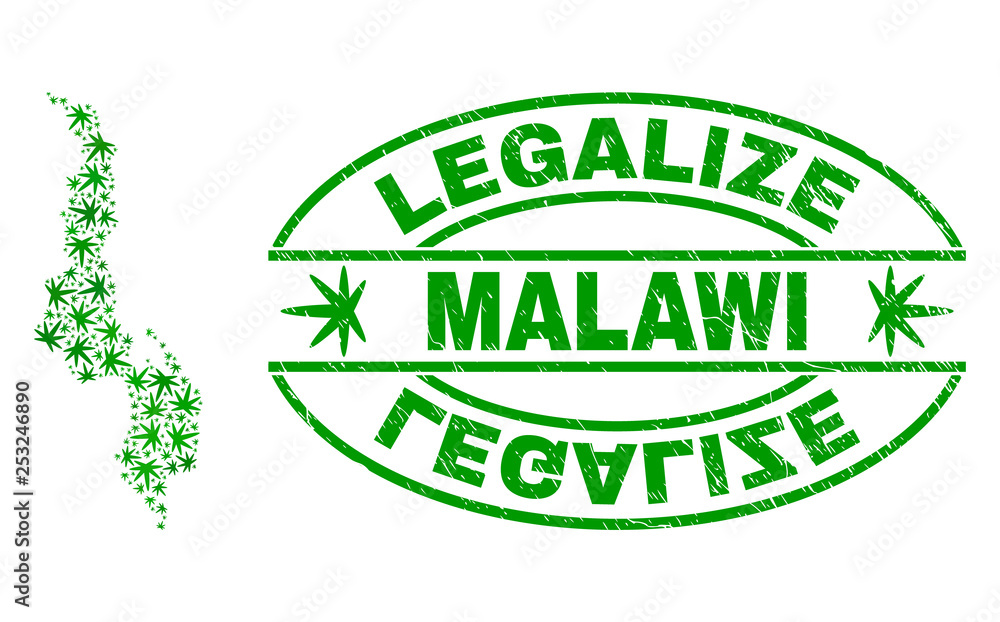 Vector cannabis Malawi map collage and grunge textured Legalize stamp seal. Concept with green weed leaves. Concept for cannabis legalize campaign. Vector Malawi map is formed of weed leaves. Vector cannabis Malawi map collage and grunge textured Legalize stamp seal. Concept with green weed leaves. Concept for cannabis legalize campaign. Vector Malawi map is formed of weed leaves.