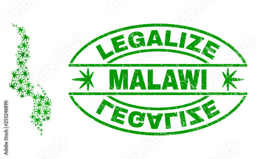 Vector cannabis Malawi map collage and grunge textured Legalize stamp seal. Concept with green weed leaves. Concept for cannabis legalize campaign. Vector Malawi map is formed of weed leaves.