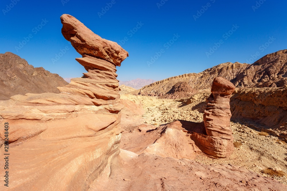 mushroom shaped stone in a desert near Amraam pillars in Israel