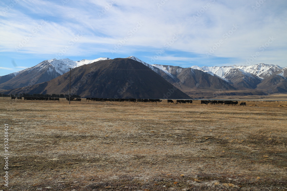 Fototapeta premium Lake and Mountains