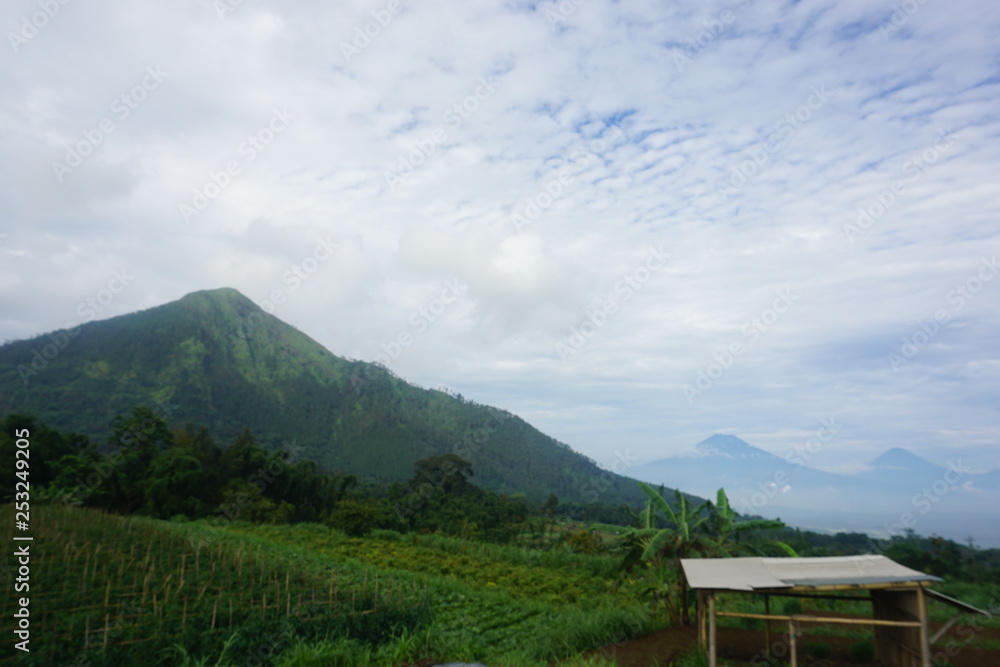 mountain views and tomato gardens mountain views and tomato gardens