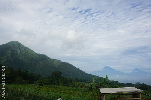 mountain views and tomato gardens