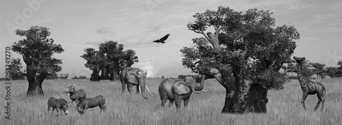 Photography Compilation of various wild animals on African Savanna - black and white