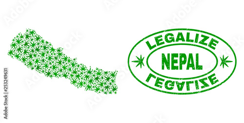Vector marijuana Nepal map mosaic and grunge textured Legalize stamp seal. Concept with green weed leaves. Concept for cannabis legalize campaign. Vector Nepal map is organized with weed leaves.