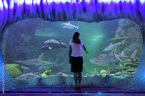 Woman looking at Sharks in Sea Life Aquarium in Sydney New South Wales Australia photo