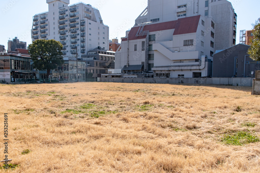Fototapeta premium 港区南青山 子ども家庭総合支援センター用地
