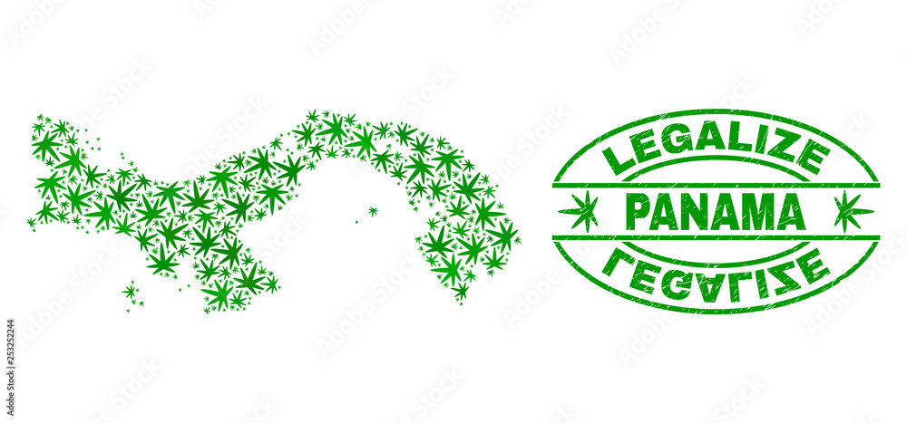 Vector cannabis Panama map collage and grunge textured Legalize stamp seal. Concept with green weed leaves. Concept for cannabis legalize campaign. Vector Panama map is formed from weed leaves.