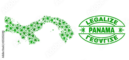 Vector cannabis Panama map collage and grunge textured Legalize stamp seal. Concept with green weed leaves. Concept for cannabis legalize campaign. Vector Panama map is formed from weed leaves.