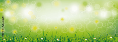 Frühling Banner mit Bokeh und grünem Gras