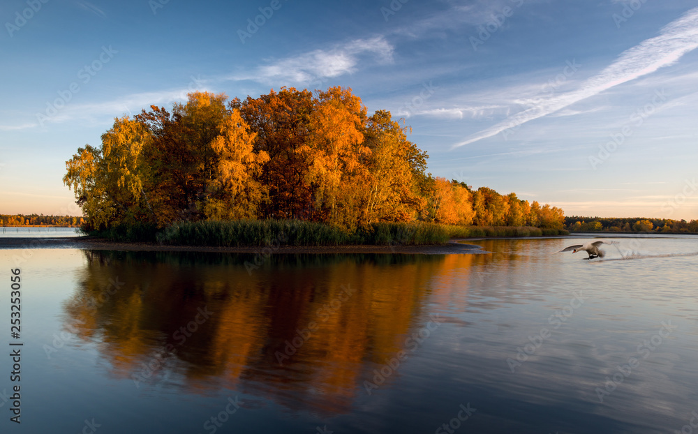 Fototapeta premium Nad jeziorem