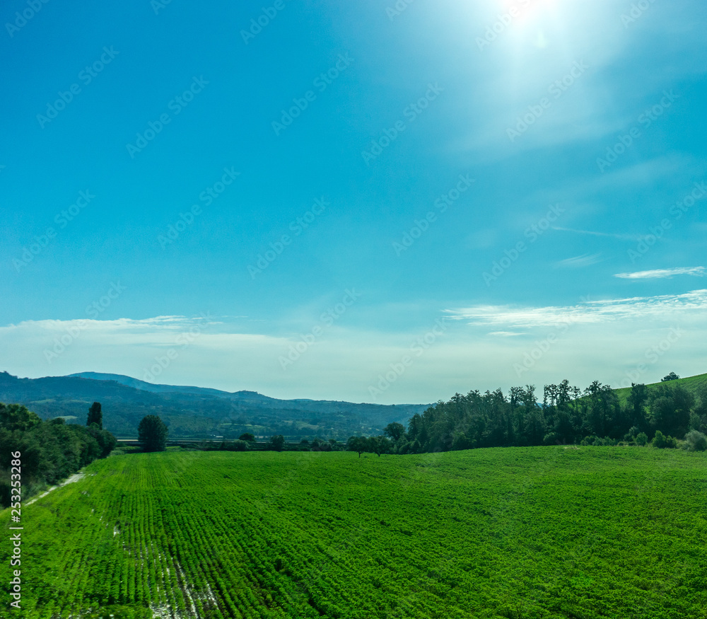 Fototapeta premium Italy, Rome to Florence train, a large green field with trees in the background