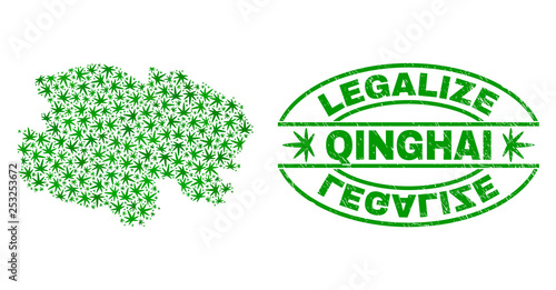 Vector cannabis Qinghai Province map collage and grunge textured Legalize stamp seal. Concept with green weed leaves. Concept for cannabis legalize campaign.