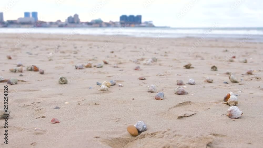 Sandy beach with rapan shells and a conch shell. Sea and town on background. Sandy beach with rapan shells and a conch shell. Sea and town on background.