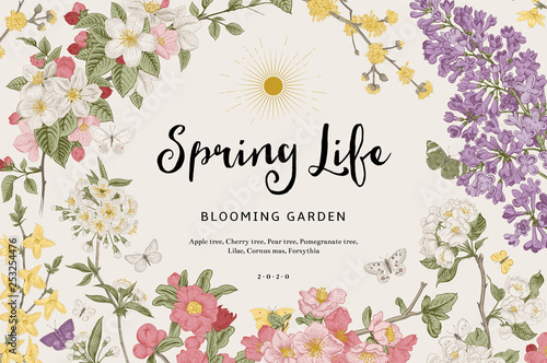 Spring life. Vintage vector botanical illustration. Colorful
