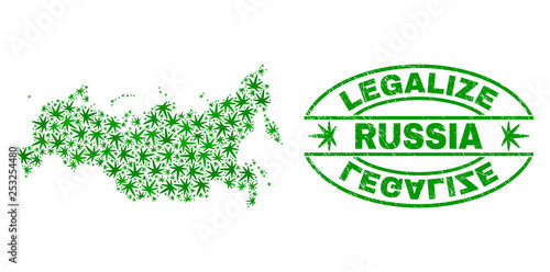 Vector cannabis Russia map collage and grunge textured Legalize stamp seal. Concept with green weed leaves. Concept for cannabis legalize campaign. Vector Russia map is formed from weed leaves.