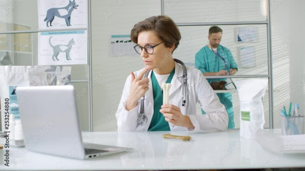 Medium shot of female veterinarian sitting at laptop and giving online recommendations about dog chew bones to customer, while her male assistant examining cat with stethoscope on background Medium shot of female veterinarian sitting at laptop and giving online recommendations about dog chew bones to customer, while her male assistant examining cat with stethoscope on background