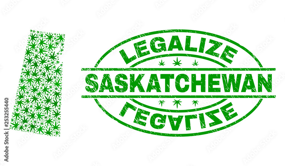 Vector cannabis Saskatchewan Province map mosaic and grunge textured Legalize stamp seal. Concept with green weed leaves. Concept for cannabis legalize campaign.