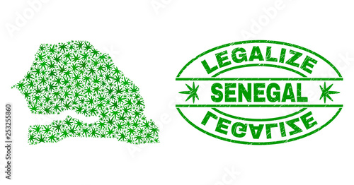 Vector cannabis Senegal map collage and grunge textured Legalize stamp seal. Concept with green weed leaves. Concept for cannabis legalize campaign. Vector Senegal map is formed with weed leaves.