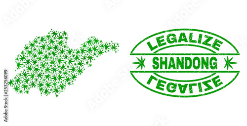 Vector cannabis Shandong Province map mosaic and grunge textured Legalize stamp seal. Concept with green weed leaves. Template for cannabis legalize campaign.