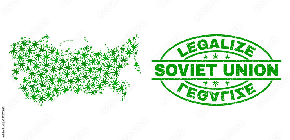 Vector cannabis Soviet Union map collage and grunge textured Legalize stamp seal. Concept with green weed leaves. Concept for cannabis legalize campaign.