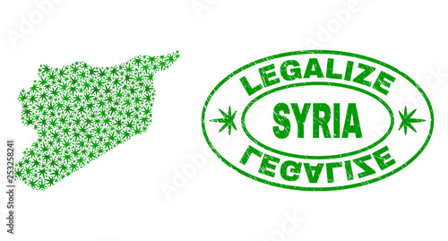 Vector cannabis Syria map collage and grunge textured Legalize stamp seal. Concept with green weed leaves. Template for cannabis legalize campaign. Vector Syria map is organized with weed leaves.