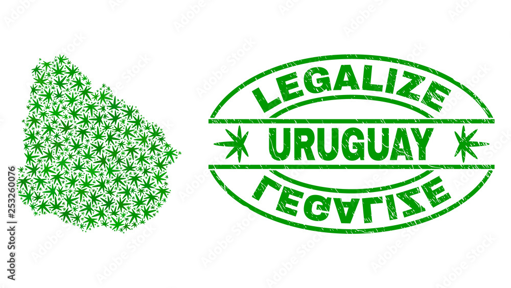 Vector cannabis Uruguay map collage and grunge textured Legalize stamp seal. Concept with green weed leaves. Concept for cannabis legalize campaign. Vector Uruguay map is organized with herbal leaves.