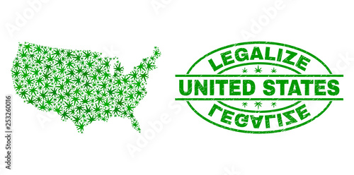 Vector cannabis United States map collage and grunge textured Legalize stamp seal. Concept with green weed leaves. Template for cannabis legalize campaign.