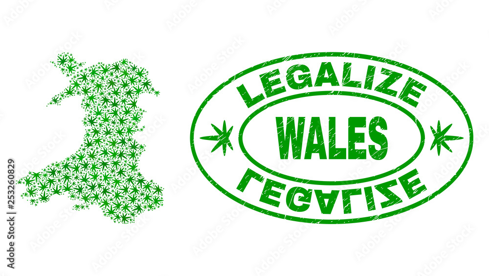 Vector marijuana Wales map mosaic and grunge textured Legalize stamp seal. Concept with green weed leaves. Concept for cannabis legalize campaign. Vector Wales map is organized from cannabis leaves.