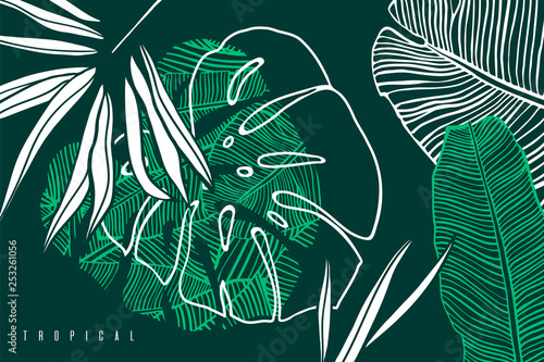 Tropical pattern with palm tree leaf, banana and monstera leaves. Hand drawn tropic foliage. Exotic green background.