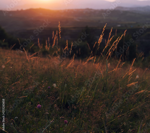 Grassland  in mountains at sunset