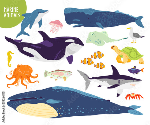 Vector set of flat hand drawn cute marine animals: whale, dolphin, fish, shark, jellyfish. Underwater wildlife. Goof for children alphabet, book illustration, infographics, banner, emblem, label etc.