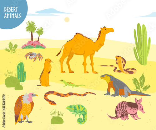 Vector collection of flat hand drawn desert animal, reptiles, insects: camel, snake, lizard isolated on white background. For children book illustration, alphabet, zoo emblems, banners, infographics.