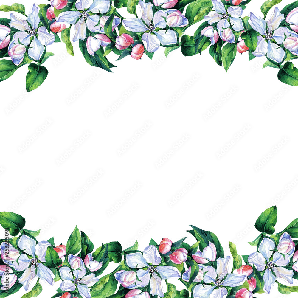 Fototapeta premium Frame, card of spring flowers watercolor, branches of flowering Apple.