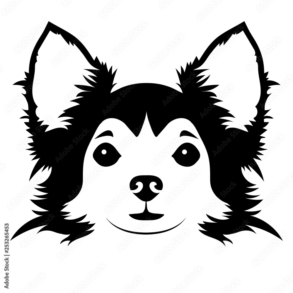 Portrait of the Chihuahua